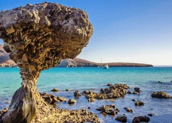 Playa Balandra es uno de los sitios favoritos y de visita casi obligada para los viajeros que llegan a La Paz, Baja California Sur