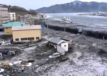 Imagen ilustrativa de Tsunamis / Remembranza de Japón