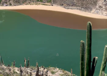 Descubre las Maravillas de Baja California Sur en Septiembre
