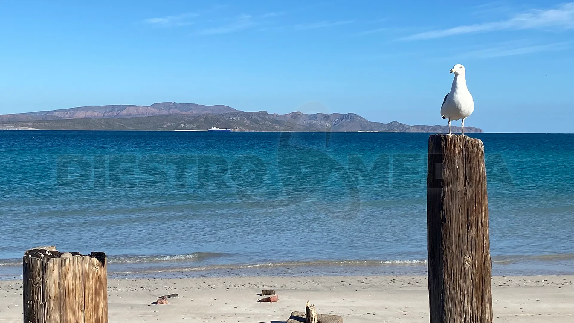 Pide turismo La Paz mantener preservación de playas ante posible alerta por enterococos