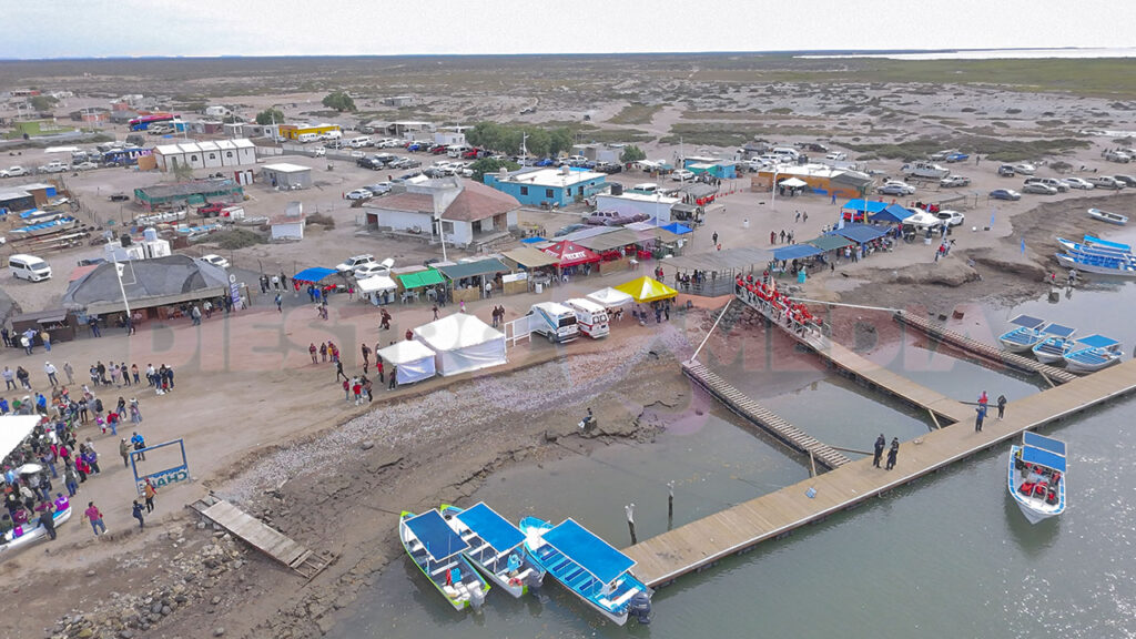 Avistamiento de ballena gris, lobos marinos y aves convirtió a Puerto Chale en caso de éxito / Foto: Fernando Becerra / Diestro.Media