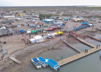 Avistamiento de ballena gris, lobos marinos y aves convirtió a Puerto Chale en caso de éxito / Foto: Fernando Becerra / Diestro.Media
