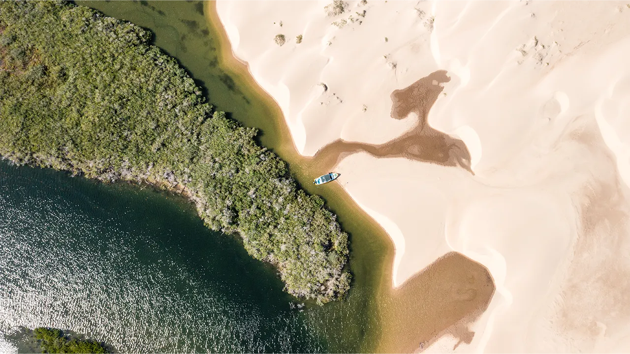 Autoridades exhortan a ciudadanía evitar tirar desechos en playas y zonas costeras / Ilustrativo / Foto: Cortesía / Uber Planet