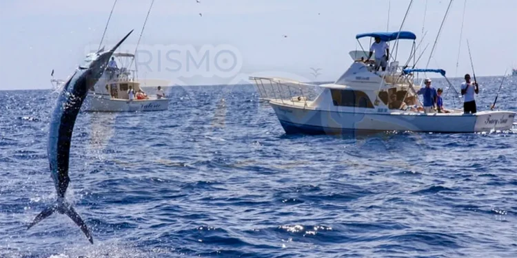El torneo de pesca deportiva más grande de La Paz llega a su cuarta edición el 11 y 12 de julio con un millón 300 mil pesos en bolsa asegurada y jackpots que apuntan a los cinco millones / Foto: Cortesía / FONMAR BCS