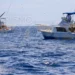 El torneo de pesca deportiva más grande de La Paz llega a su cuarta edición el 11 y 12 de julio con un millón 300 mil pesos en bolsa asegurada y jackpots que apuntan a los cinco millones / Foto: Cortesía / FONMAR BCS