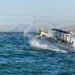 El Torneo de Pesca Deportiva Maja El Grande 2026 reunió a 144 embarcaciones en La Paz con una bolsa total de casi 5 millones de pesos y una derrama económica estimada de 25 millones durante la semana del evento / Foto: Pablo Diestro / TurismoBCS.news